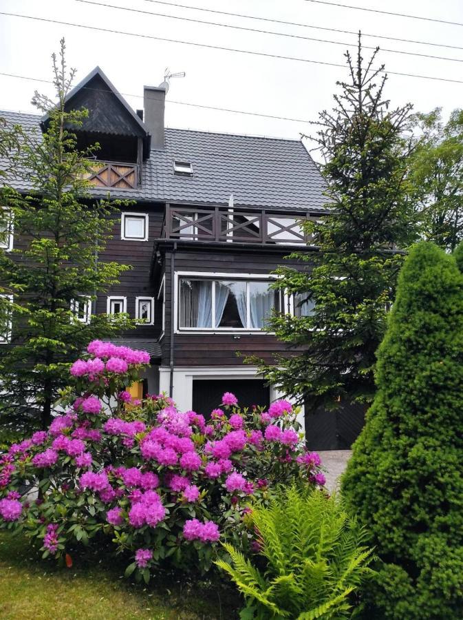 Willa Klonowa Visla Exteriér fotografie
